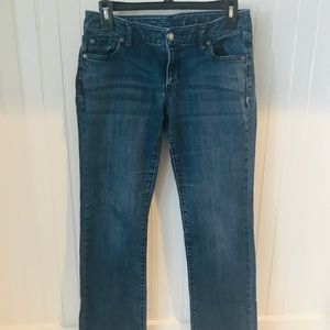 Gap Jeans Premium Curvy Straight size 4/27S